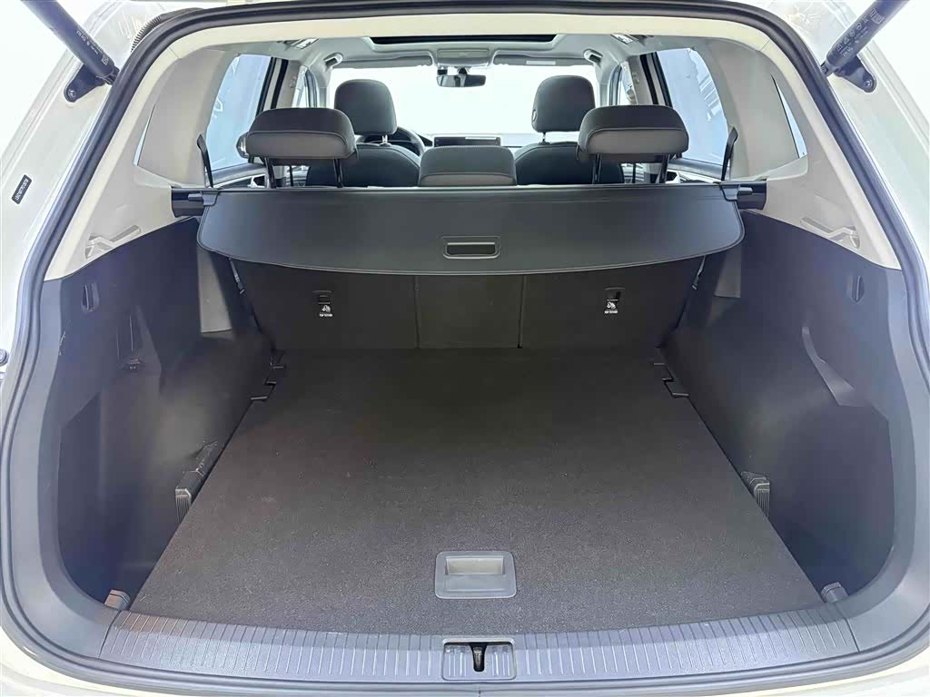 Volkswagen Tiguan L, 2024 12