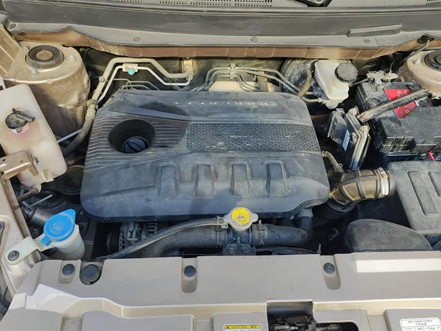 Leopaard Cheetah CS9