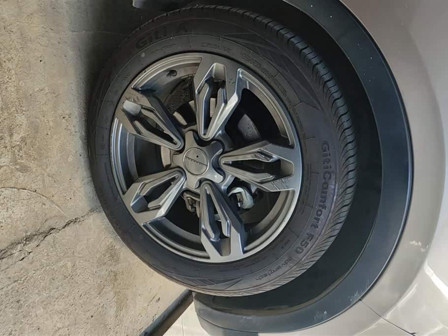 Leopaard Cheetah CS9