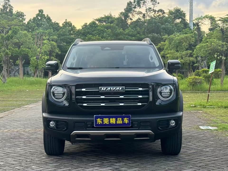 Haval Big dog