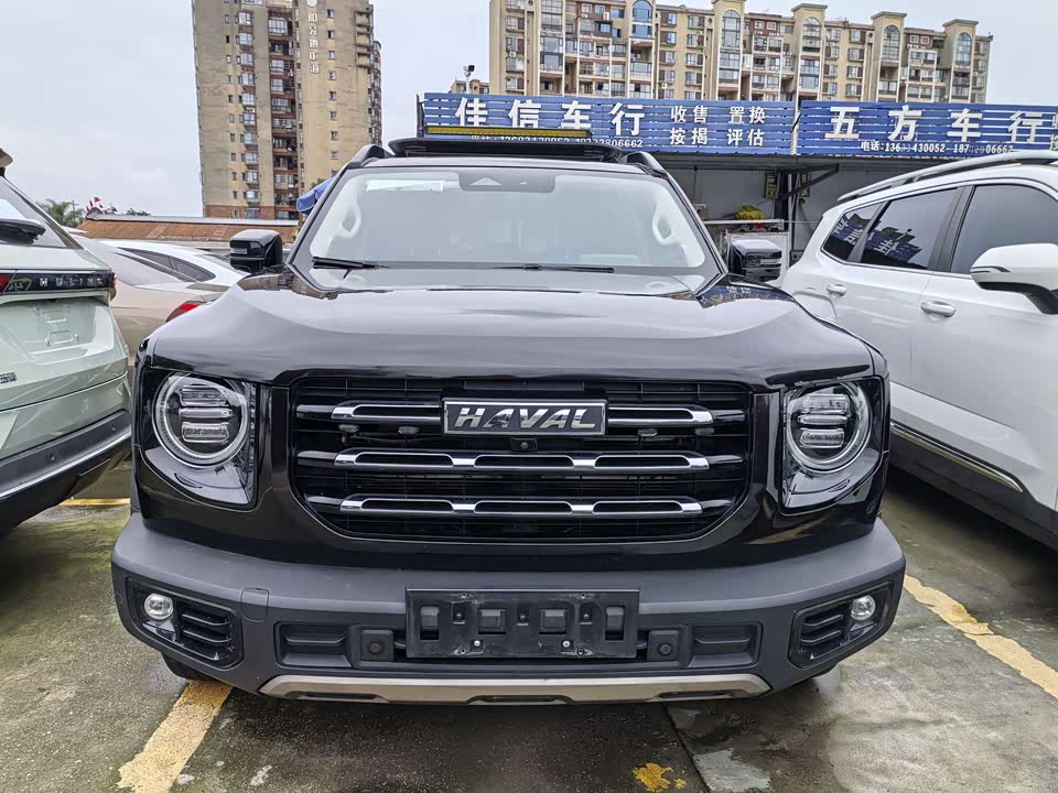 Haval Big dog