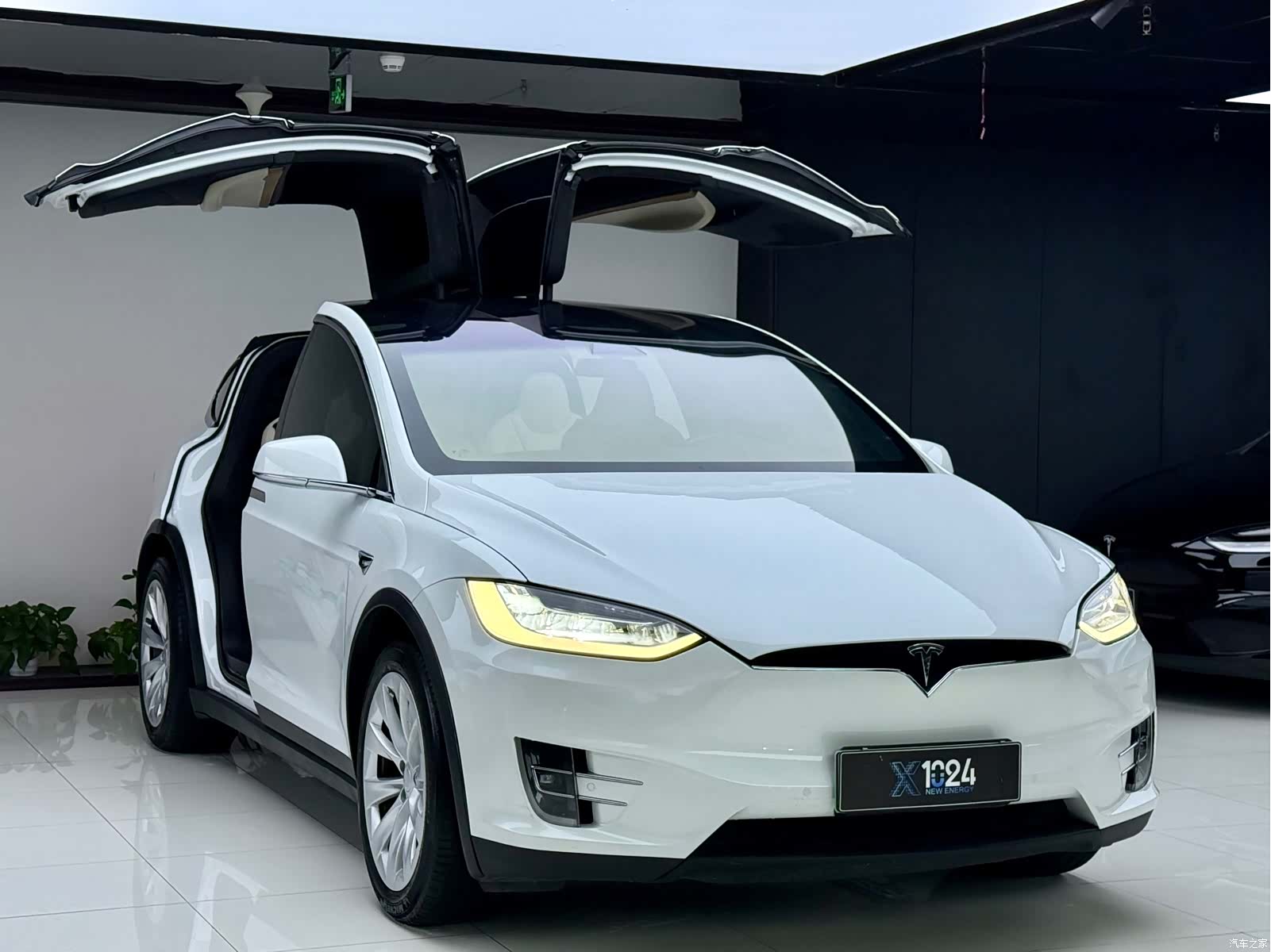 Tesla Model X, 2019 3