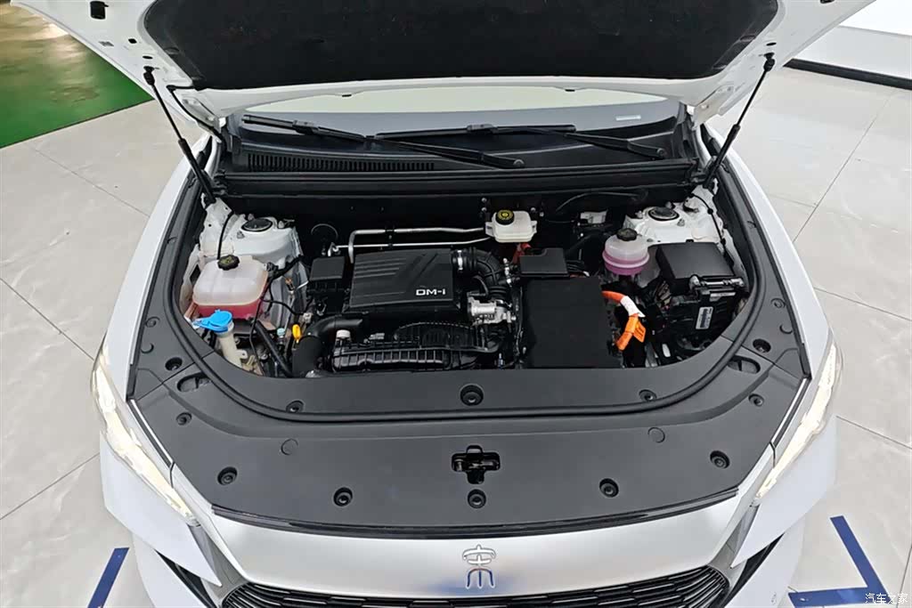 BYD Song, 2024 10
