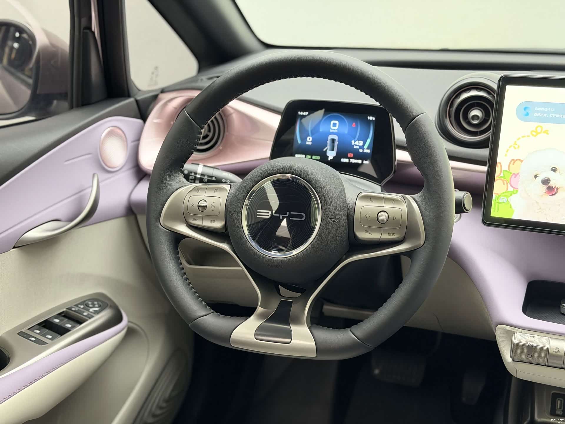 BYD Dolphin, 2022 15