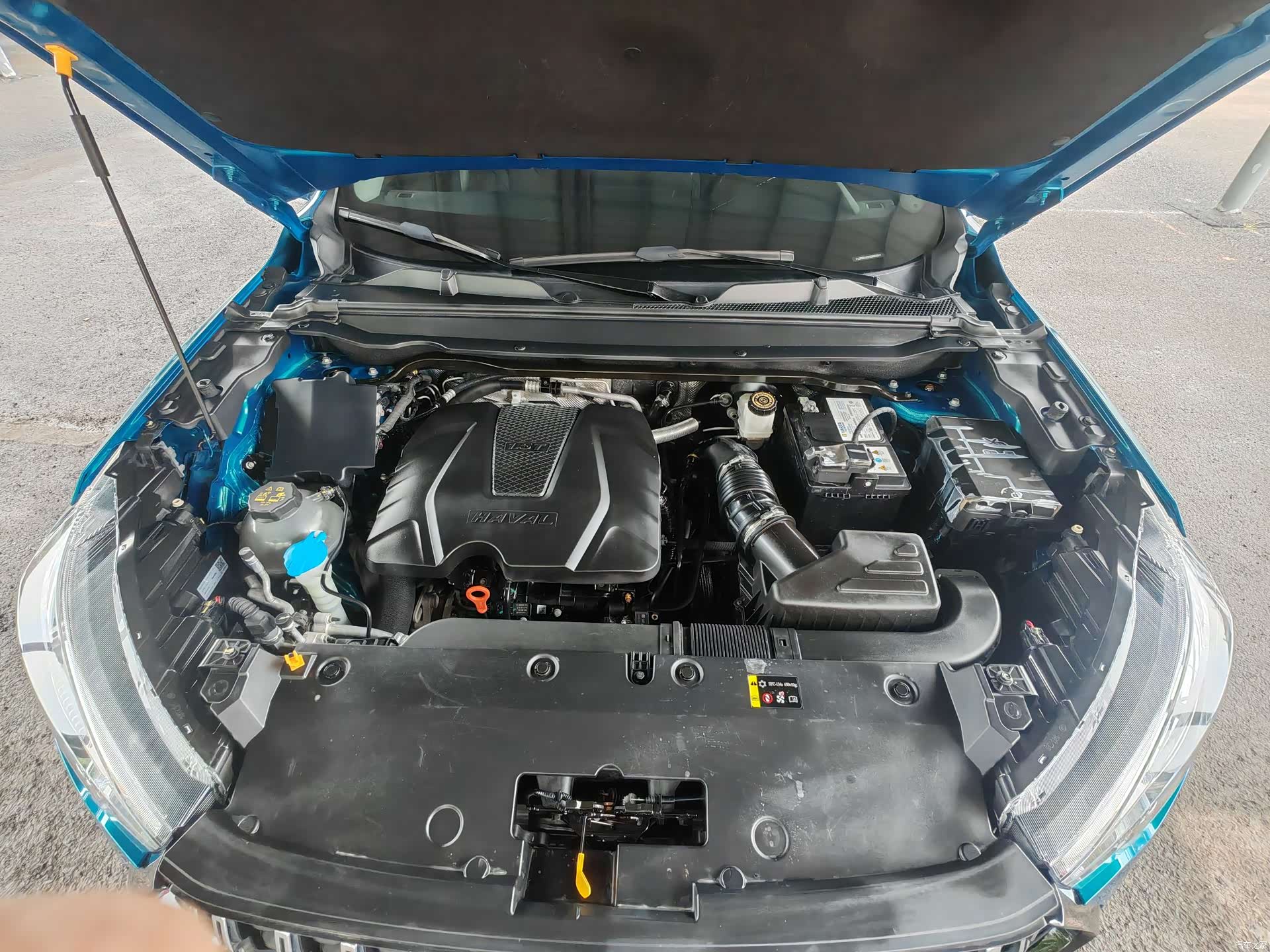Haval Jolion, 2022 все фото
