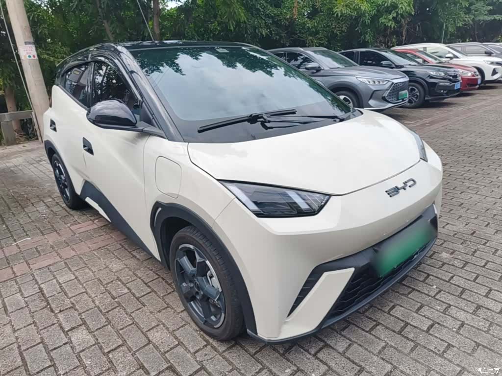 BYD Seagull, 2024 4