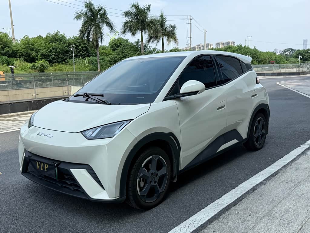 BYD Seagull