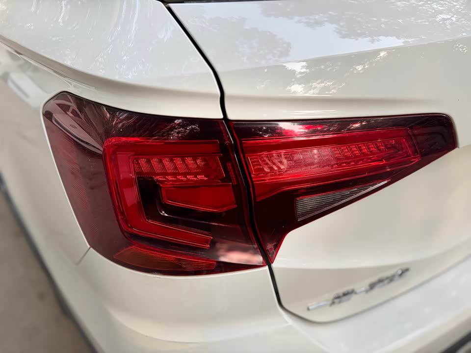 Volkswagen C-TREK Wei Collar