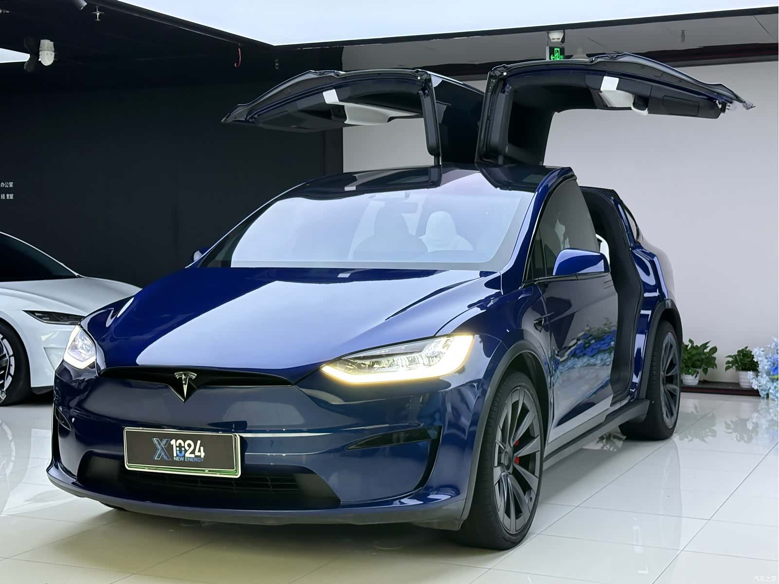 Tesla Model X, 2023 1