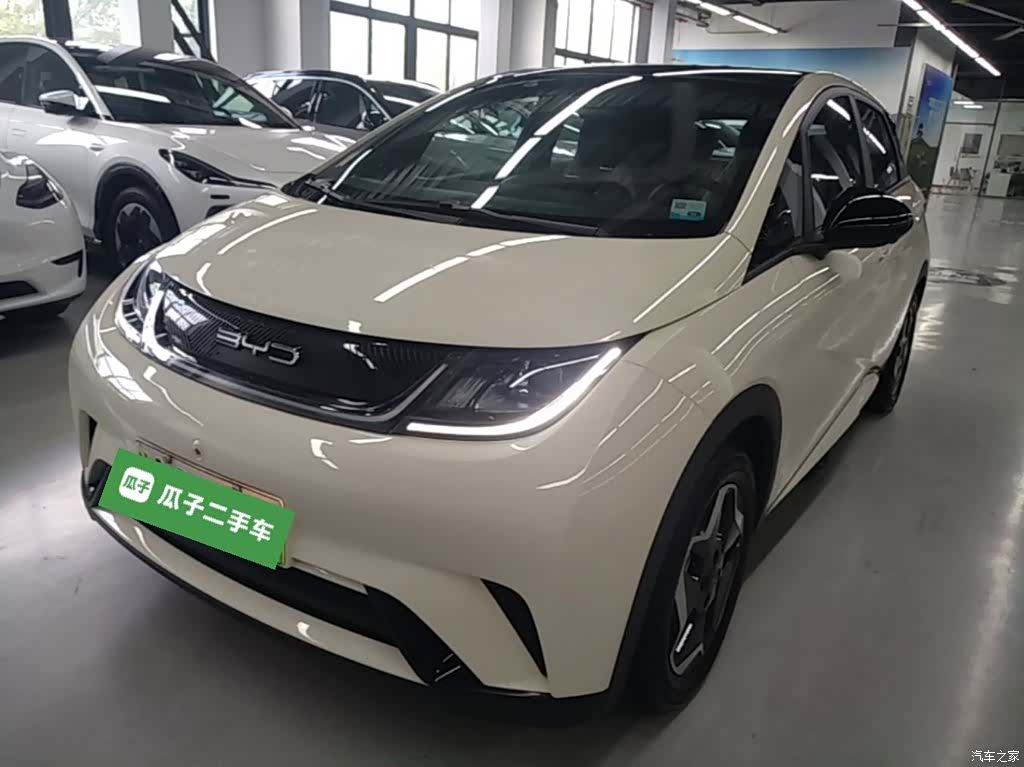 BYD Dolphin, 2022 1