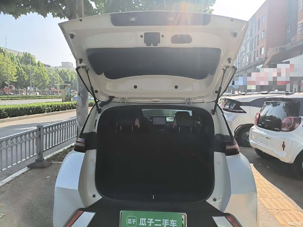 BYD Seagull, 2024 19