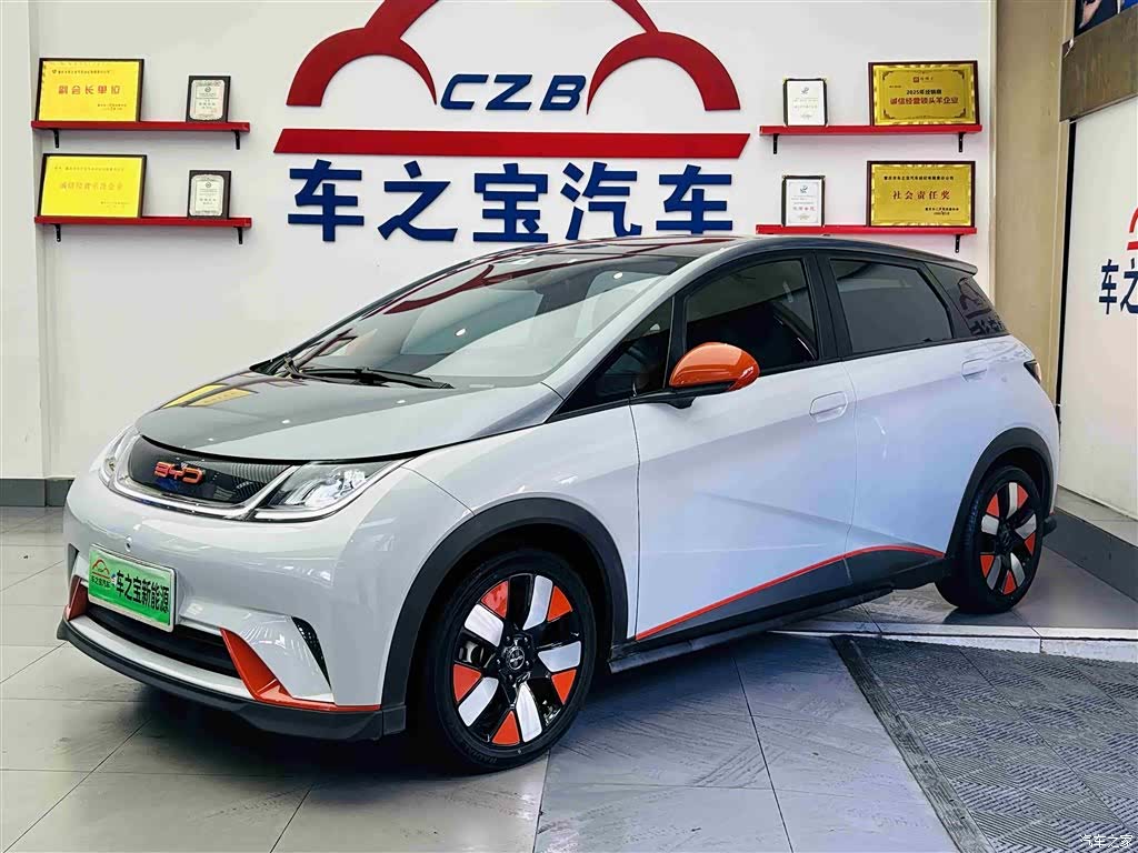 BYD Dolphin, 2023 1