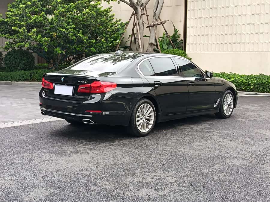 BMW 5 Series 2019, фото 4