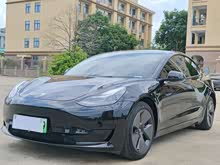 Model 3 2021�� �Ŀ� ��׼�������������� 3D1