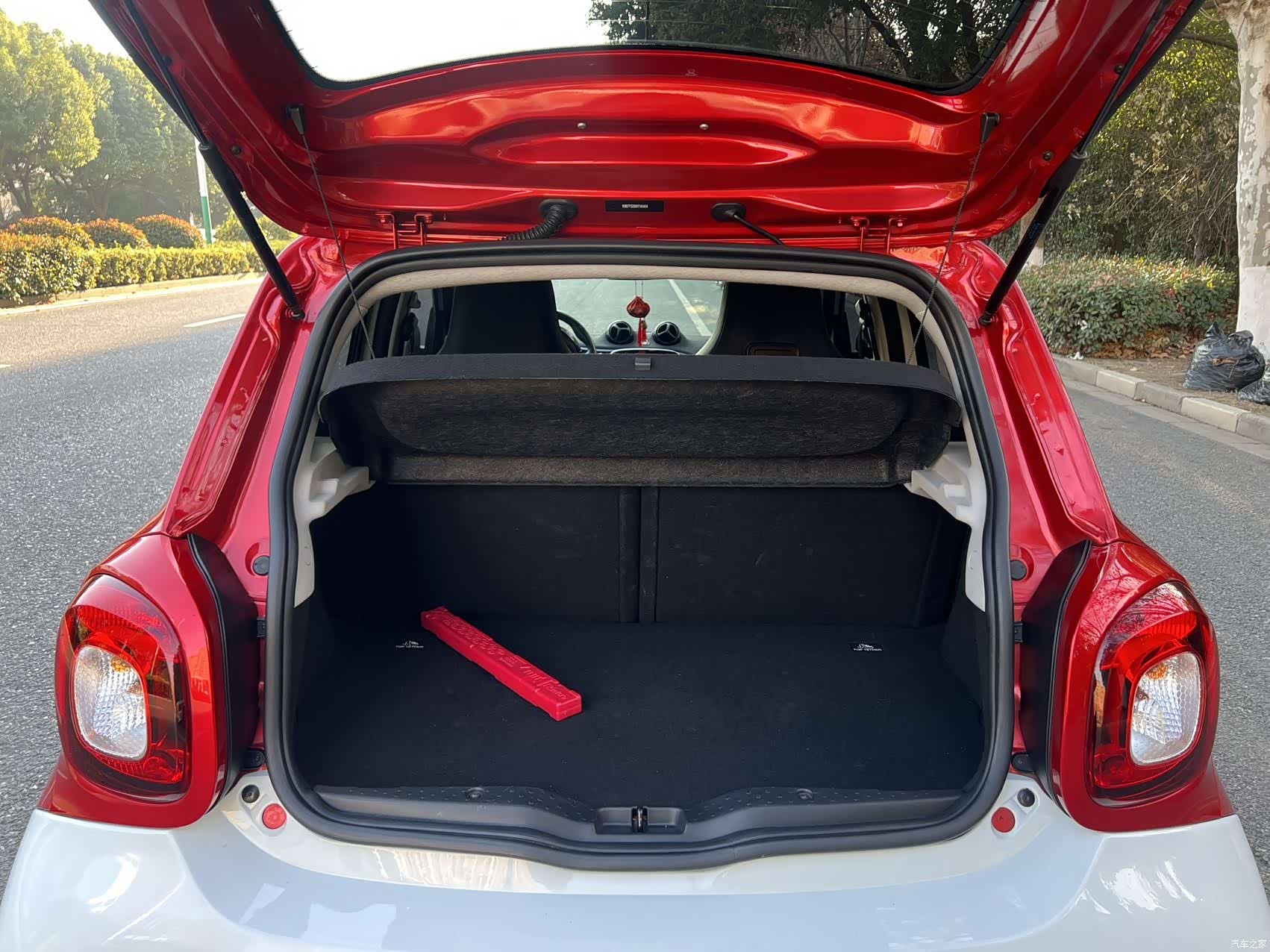 Smart Forfour, 2017 10