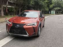 �׿���˹UX 2020�� 260h ̽����� ��V