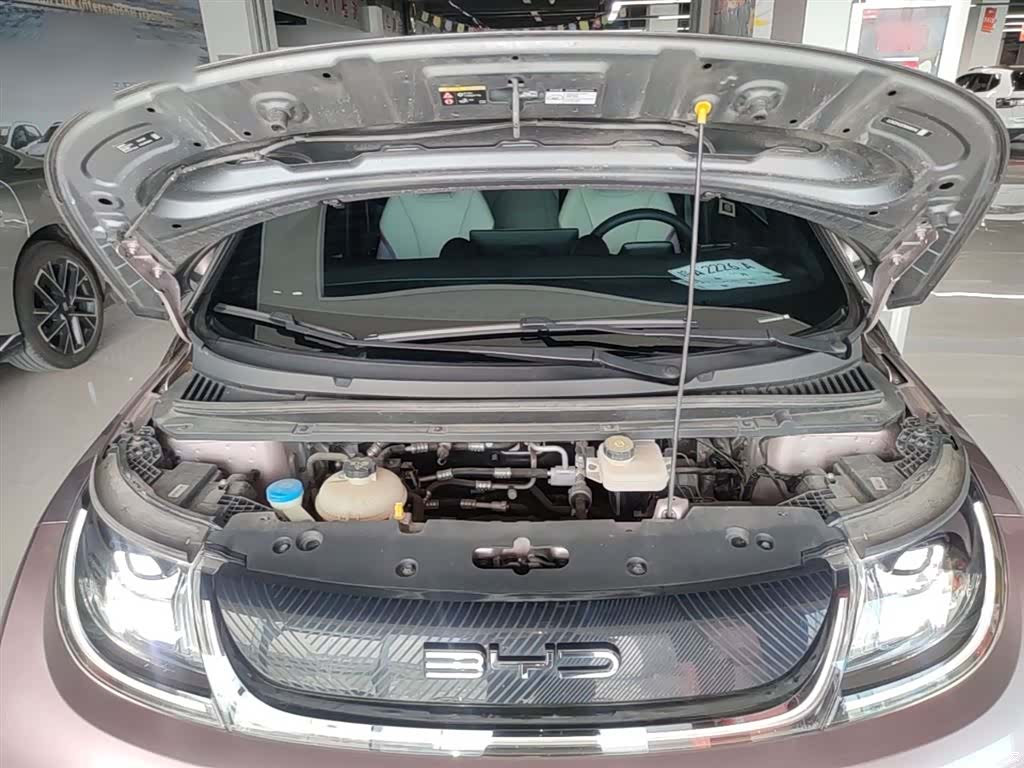 BYD Dolphin, 2021 20