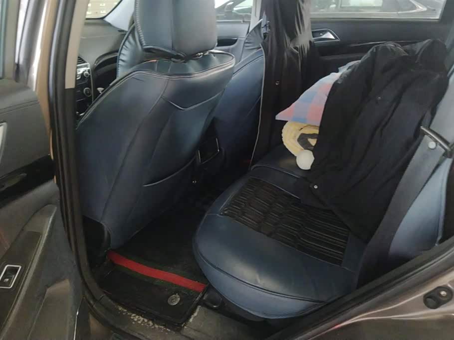 Leopaard Cheetah CS10