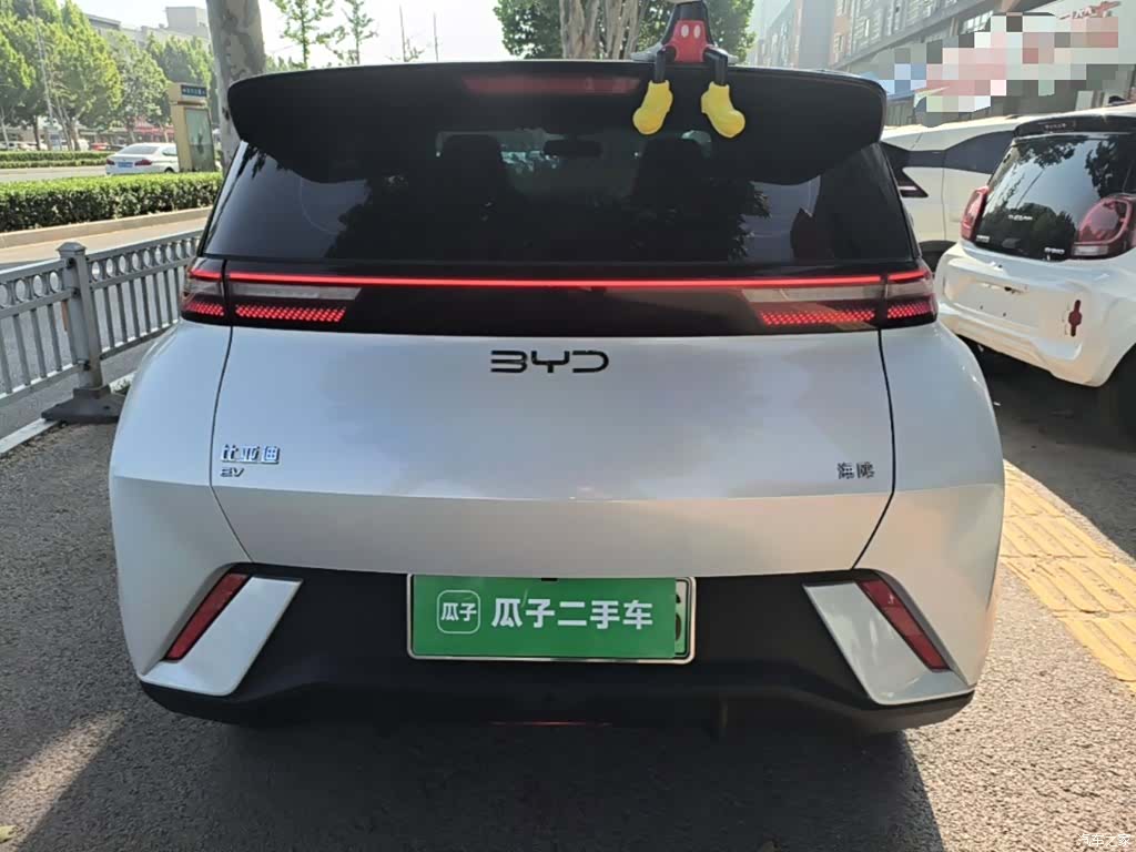 BYD Seagull, 2024 6