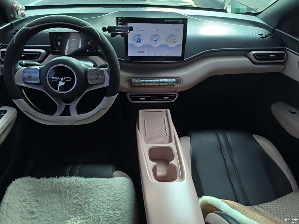 BYD Seagull, 2024 10