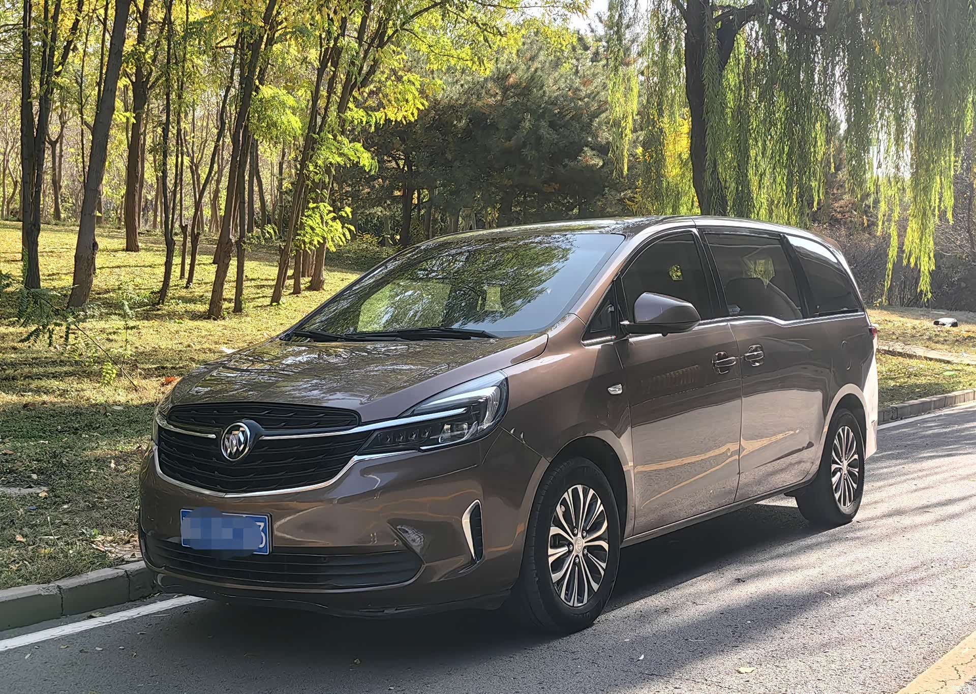 Buick GL8, 2021 1