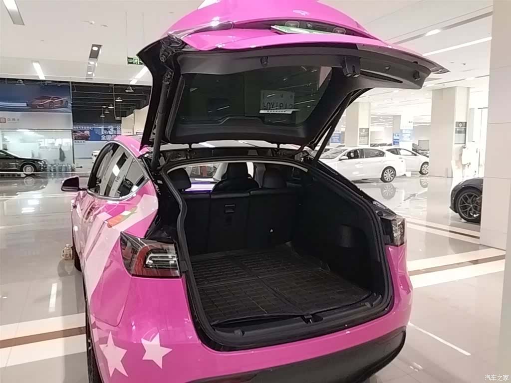 Tesla Model Y, 2021 19