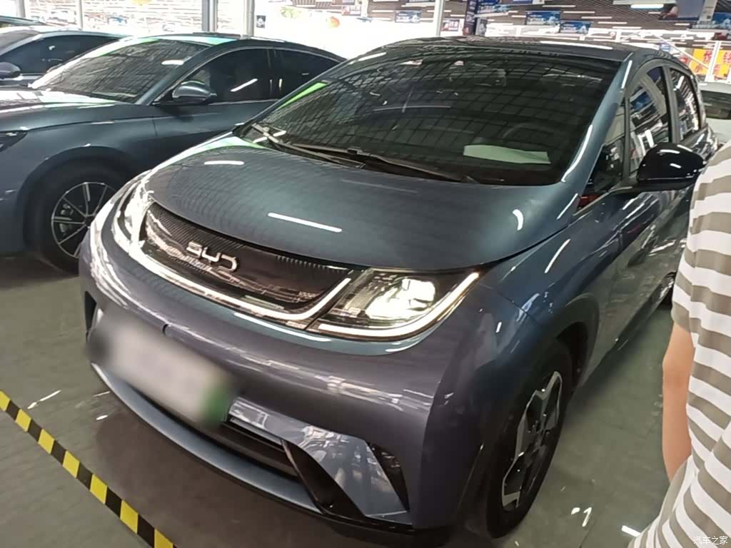 BYD Dolphin, 2024 2
