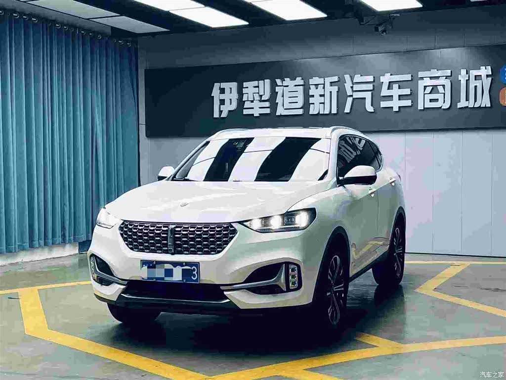 WEY VV6