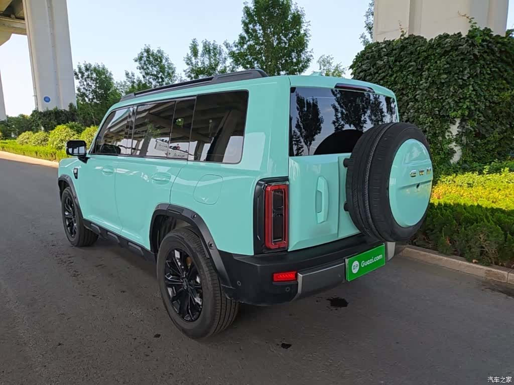 Haval Raptor, 2025 все фото