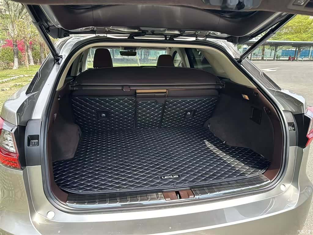 Lexus RX, 2017 21
