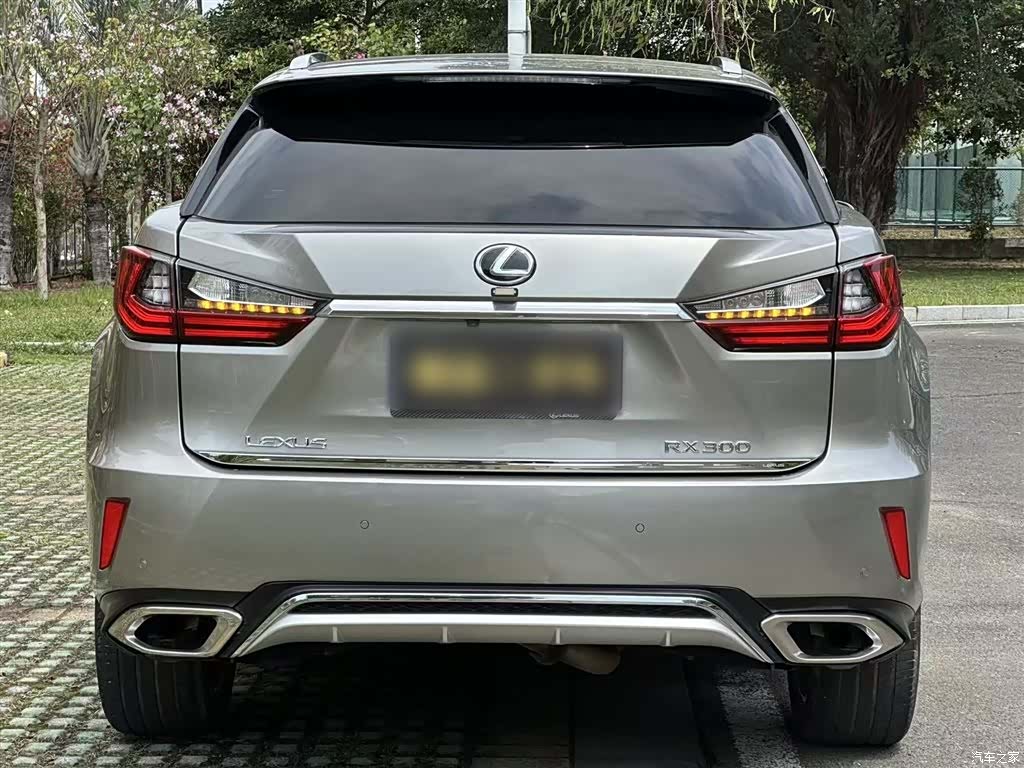 Lexus RX, 2017 14