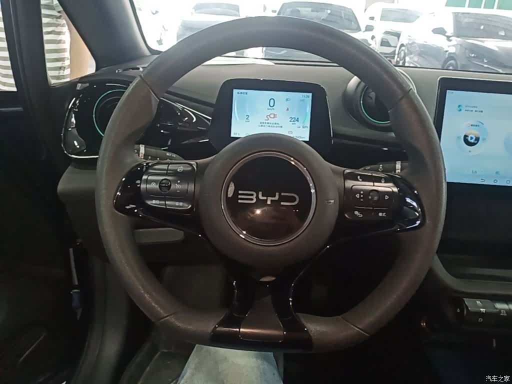 BYD Dolphin, 2024 11