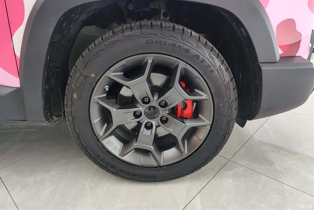 Geely 1.5TD, 2024 6