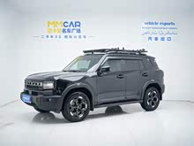��;������ 2025�� 2.0TD ��Խ