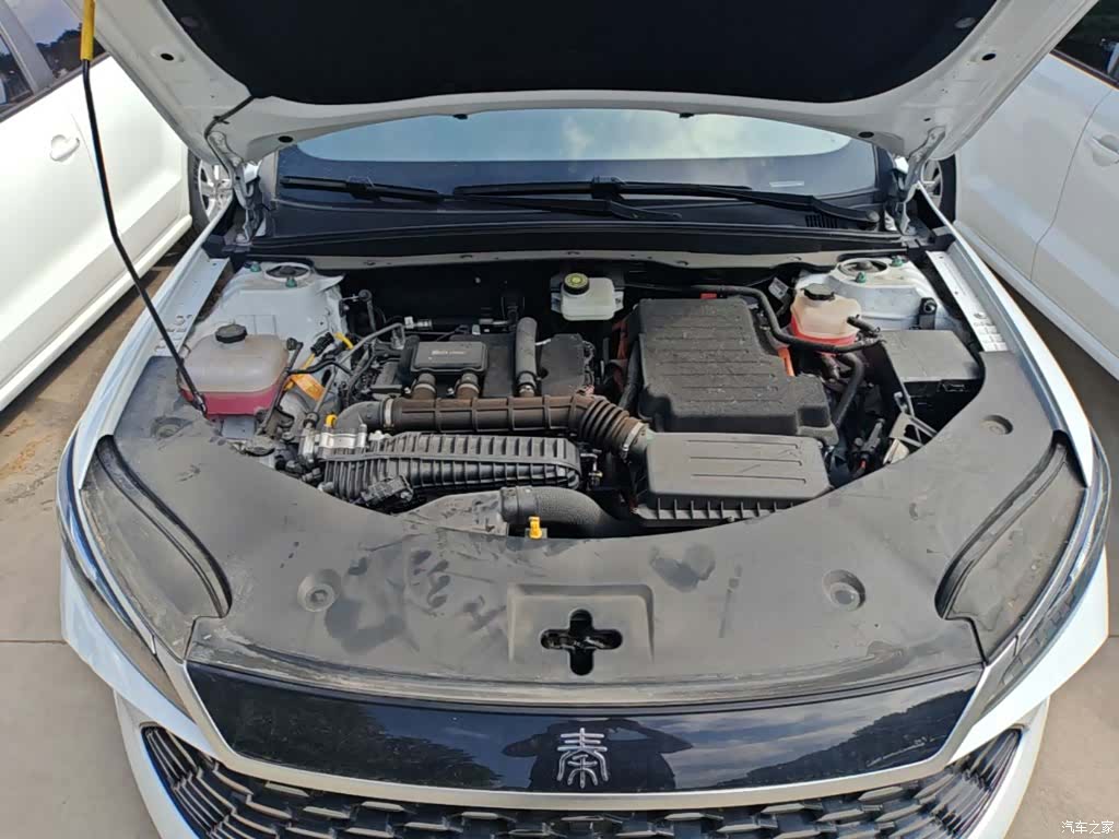 BYD Qin, 2025 20