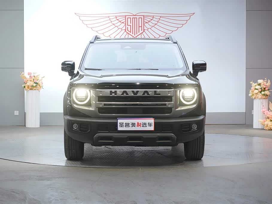 Haval Big dog