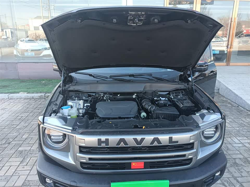 Haval Big dog