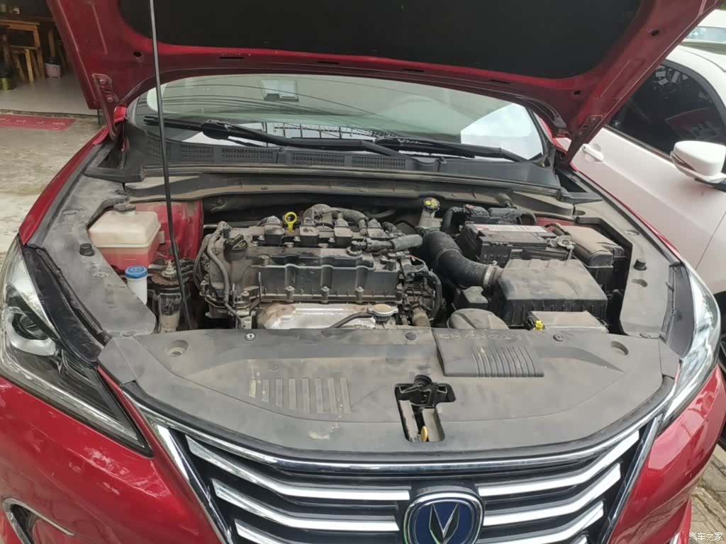 Changan Eado, 2019 20