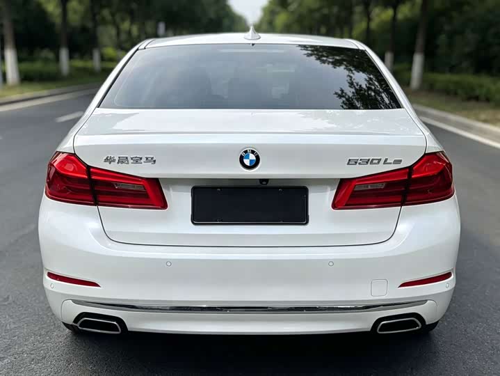 BMW 5 Series xin neng yuan 2019 gai 530Le hao hua tao zhuang