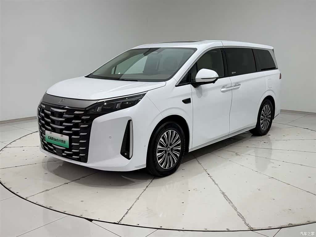 BYD Xia, 2025 все фото
