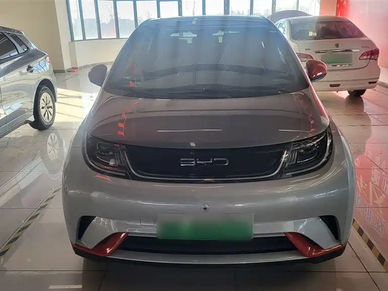 BYD dolphin