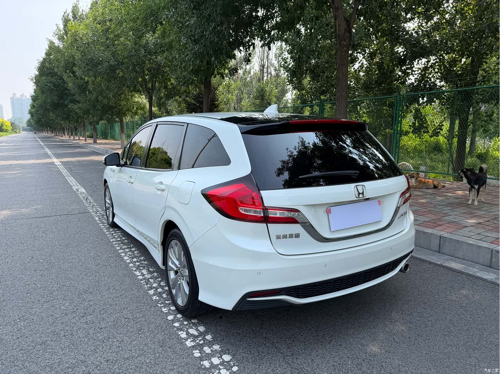Honda Jade, 2018 все фото