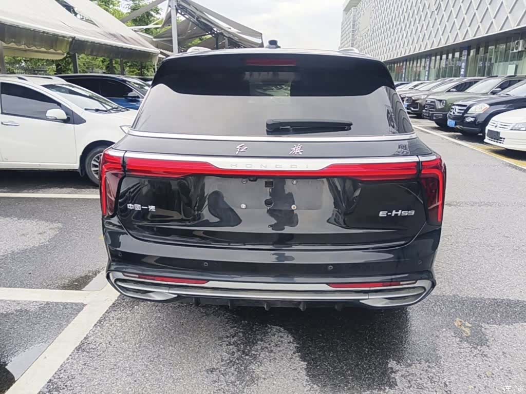 Hongqi E-HS9, 2023 6