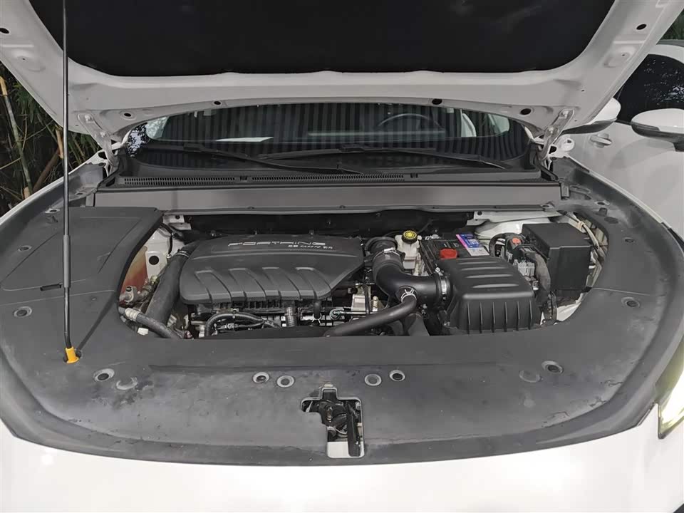 Forthing Popular T5 EVO