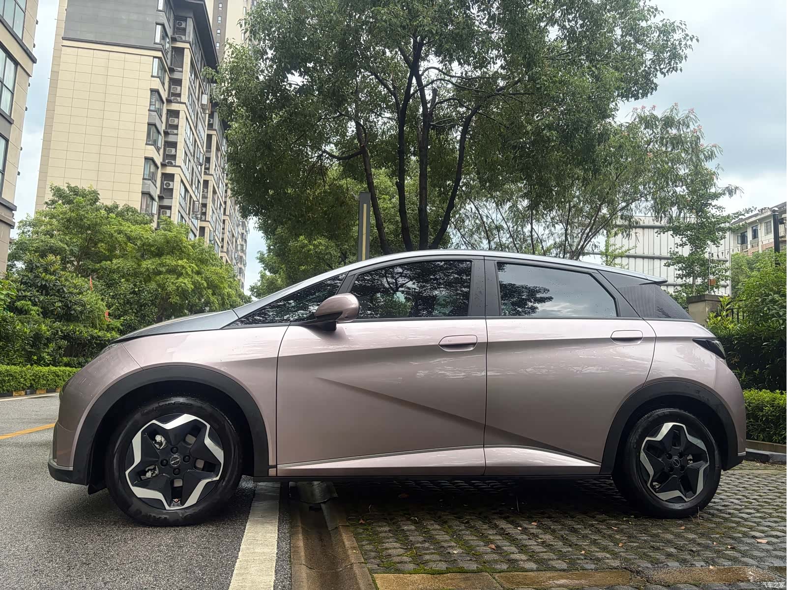 BYD Dolphin, 2021 4