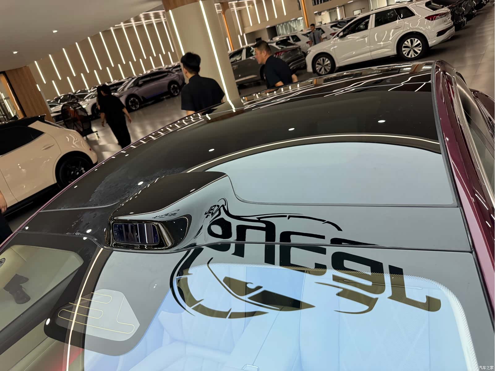 Stelato S9, 2025 44