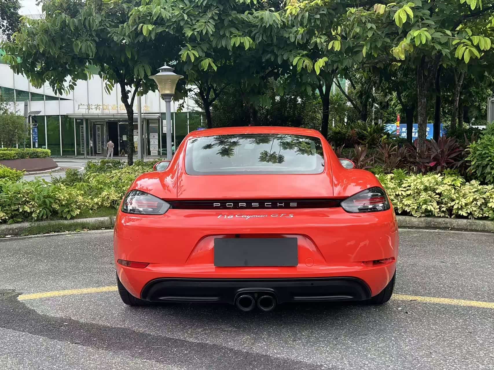 Porsche Cayman, 2019 14