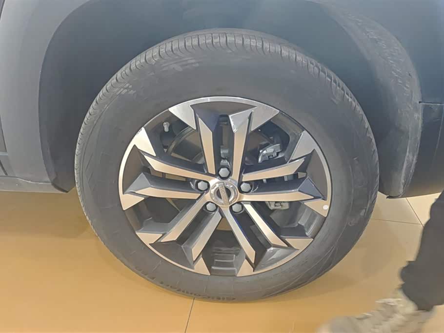 Haval Big dog