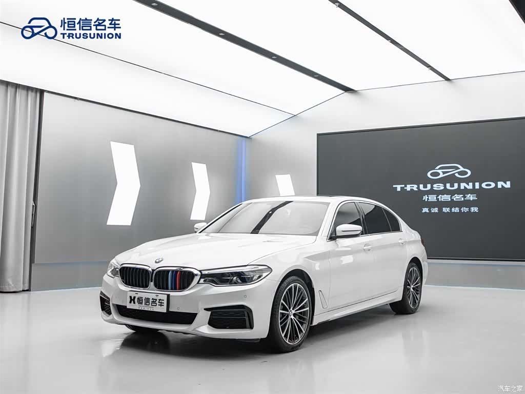 BMW 5 Series, 2020 3