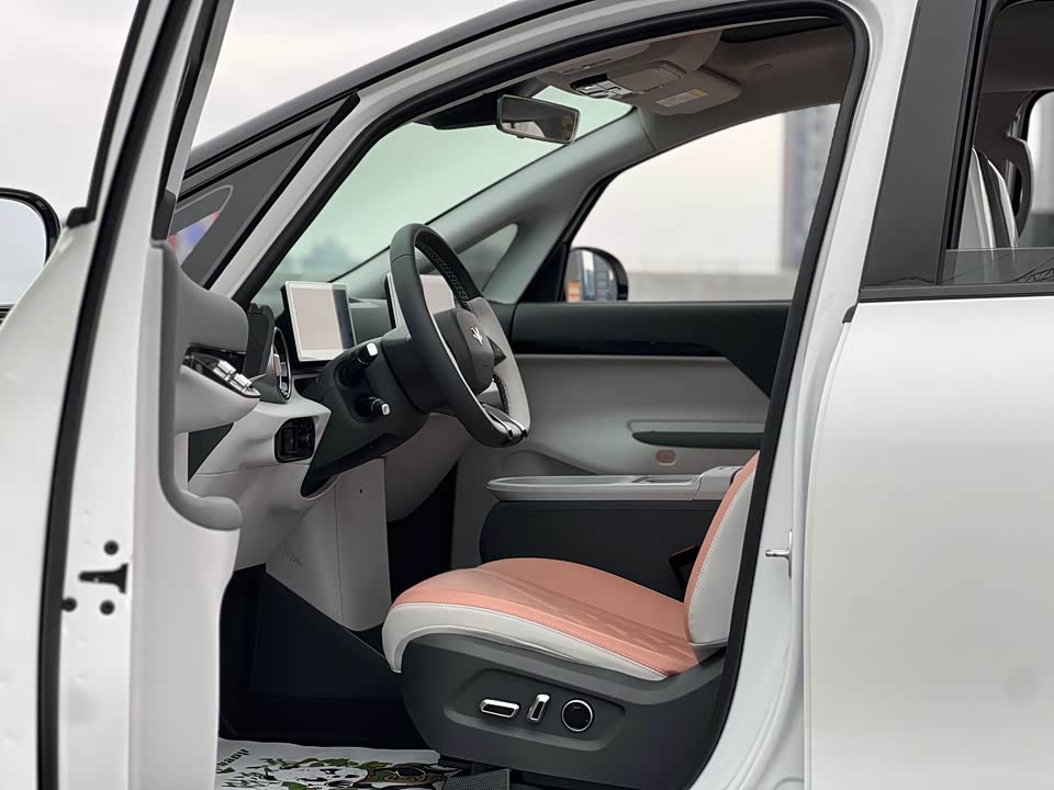 ARCFOX Polar fox koala